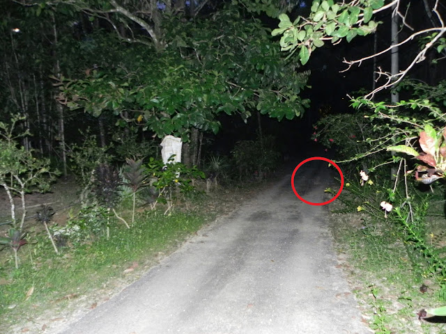 Waspada Bau Ini Menandakan Kehadiran Makhluk Halus Kabar