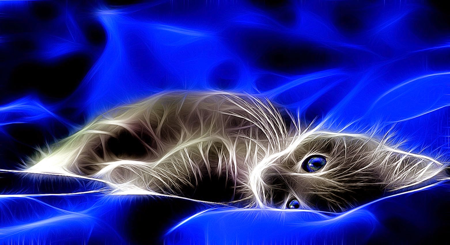  3D  Cats  Wallpaper  Android Light All HD Wallpapers 