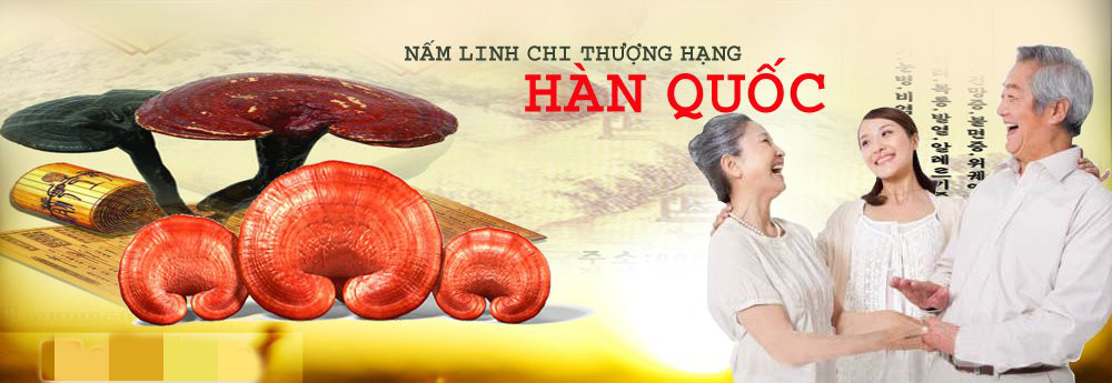 nấm linh chi hàn quốc