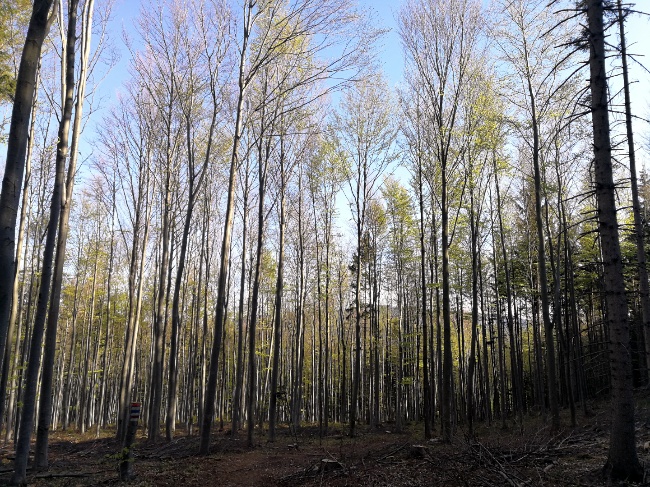 Bellemelle Der Schweizer Blog Uber Kunst Mode Und Das