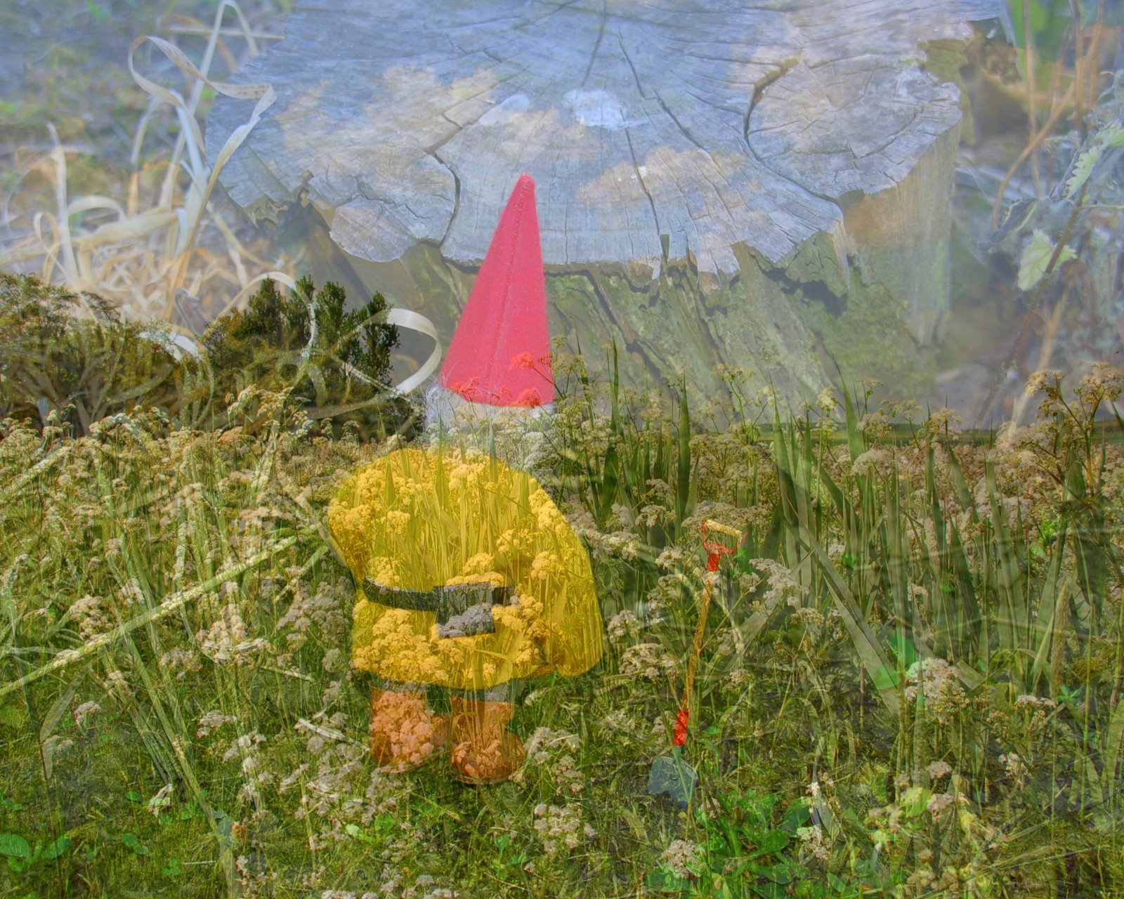 Kabouterblog: Een plek voor je kabouter