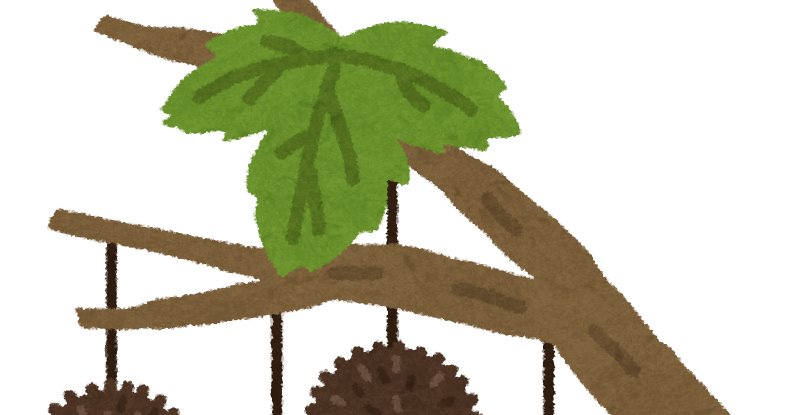 スズカケノキの実のイラスト かわいいフリー素材集 いらすとや