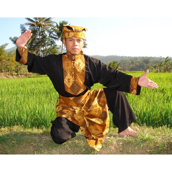 Koleksi Foto Pencak Silat Wanita - Pencak Silat Indonesia
