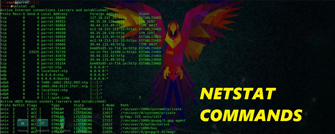 TECHNOLOGY REDEFINE NETSTAT COMMANDS