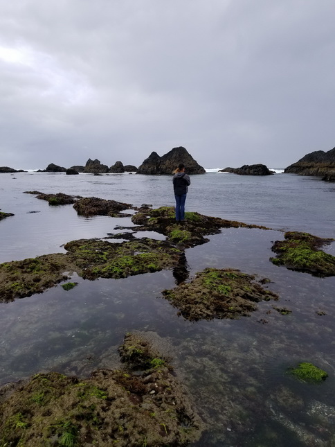 Del Albright: OREGON TIDE POOLS Del Albright: OREGON TIDE POOLS