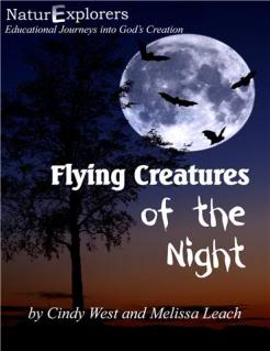 Adventures in Home Education: Shining Dawn Books - NaturExplorers ...