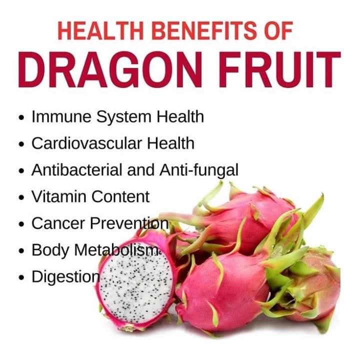rich-in-nutrients-and-minerals