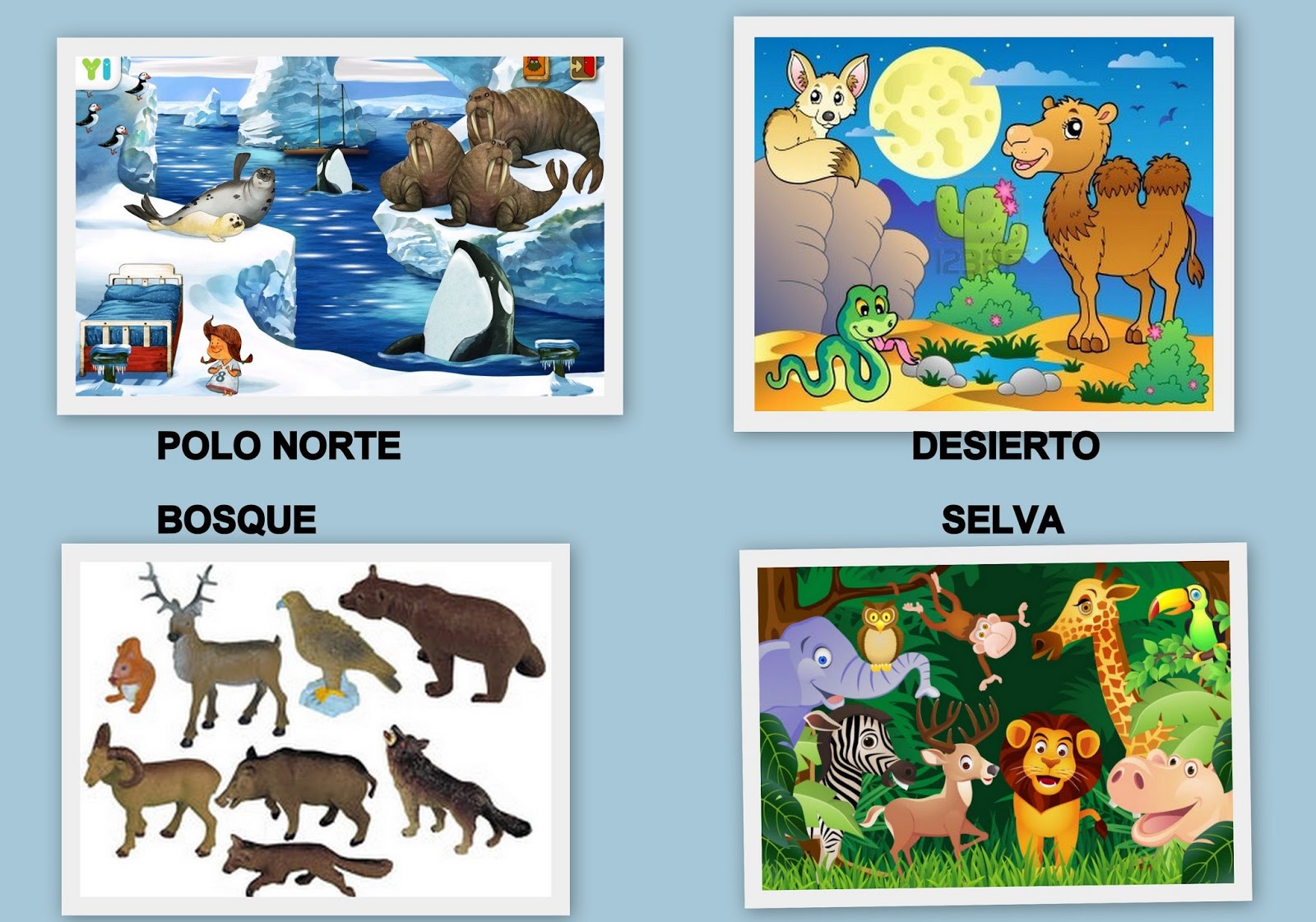 Las cositas de la maestra Ana Animales de diferentes hábitats y tiempo.