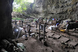 حفريات حديثة في الفلبين تكشف عن وجود نوع بشري جديد