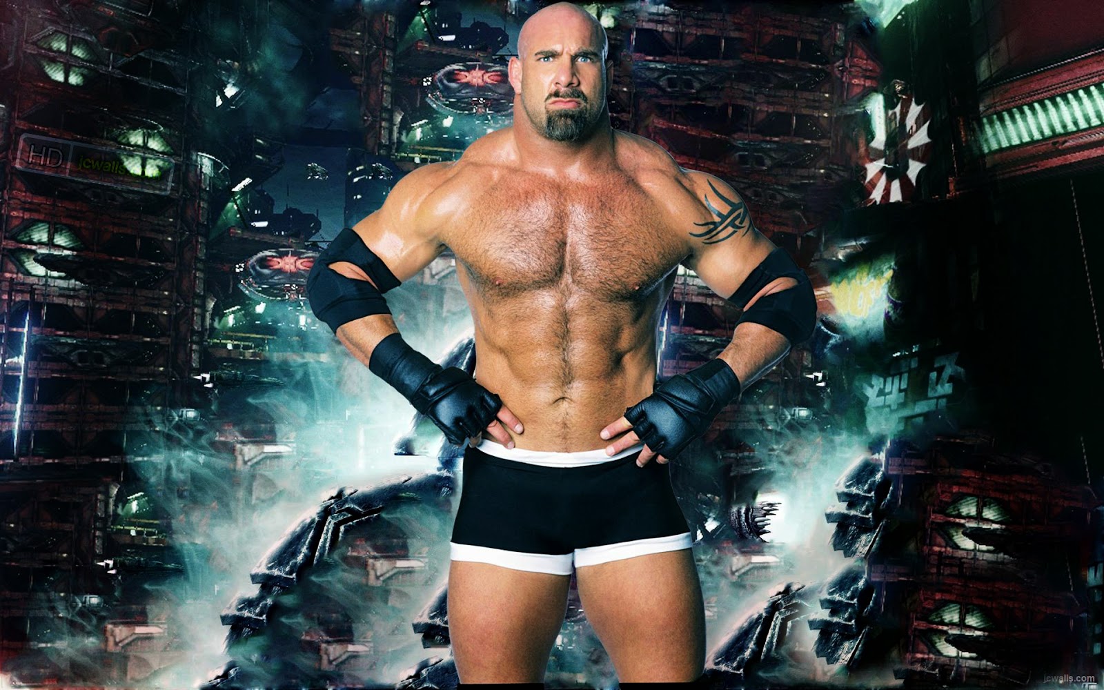 WWE Superstars and All WWE 2014 Wrestlers HD Wallpapers and Pictures