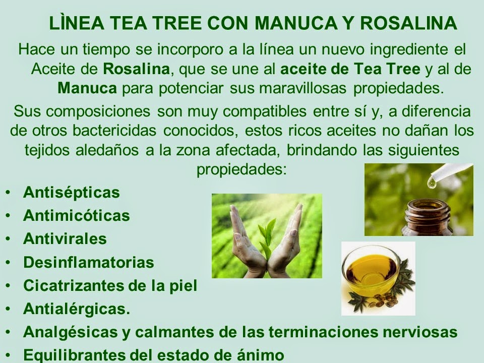 Aceite De Tea Tree Just Usos Y Beneficios PIXMOB