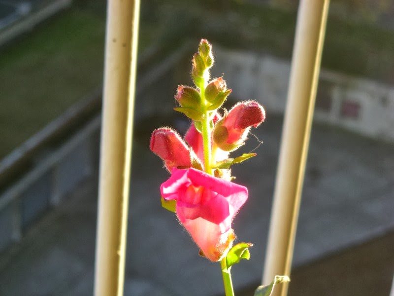 Annuk Creations Color and Light Inspirations in Jewelry SUMMER