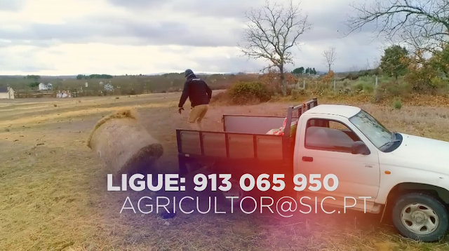 Inscrições abertas para 'Quem quer namorar com o agricultor?' estreia brevemente na SIC
