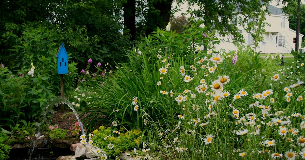 Amy's Creative Pursuits The Late June Garden