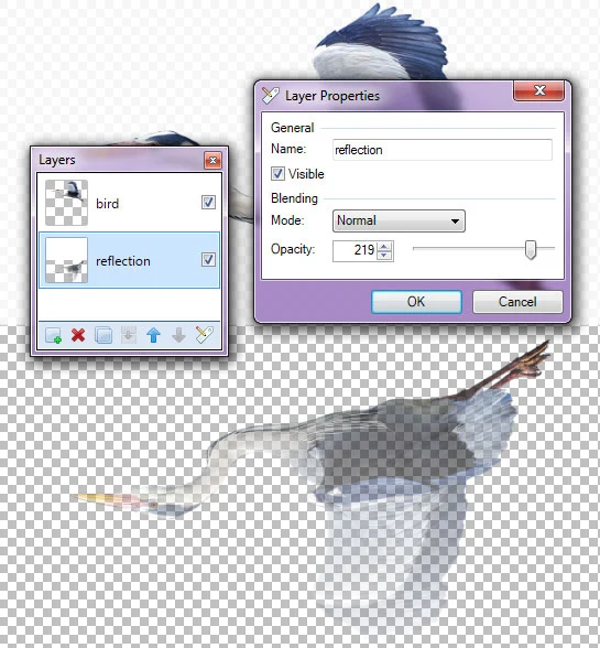 PhotoEffect How To Create Reflection in