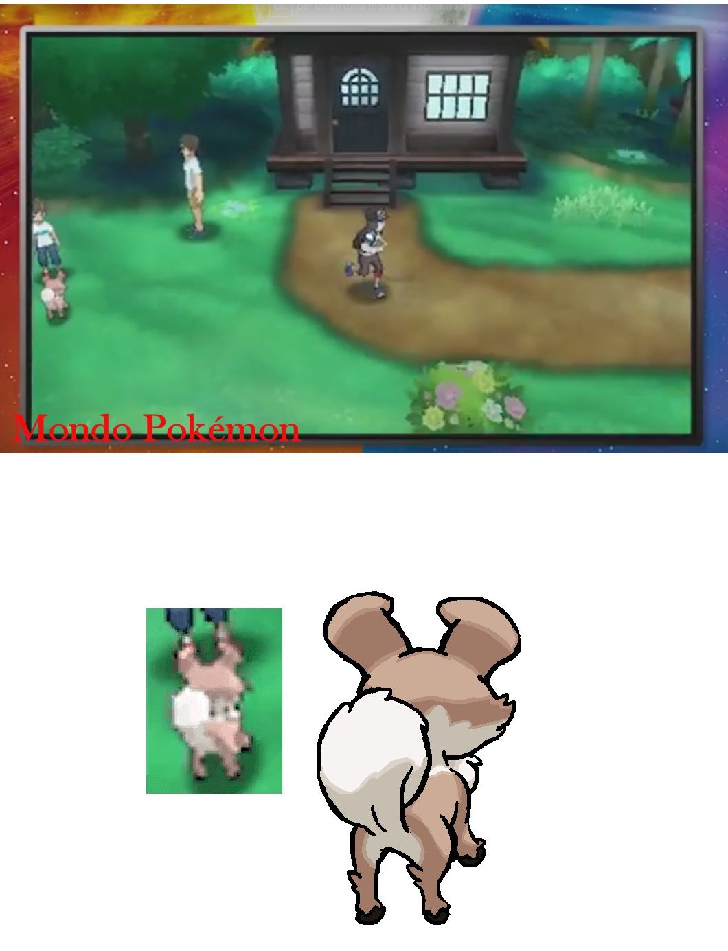 Nuovo Pokémon Cane Pokemon Sun And Moon