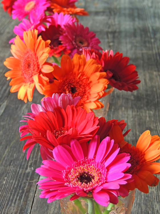 Orangen-Gewürz-Sirup ... aha aha - I like it ... Orangen-Gewürz-Sirup ... aha aha - I like it ...