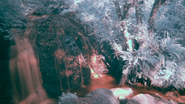 Winter Falls Winter Falls