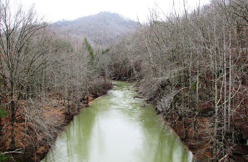 Poetry with Blues & Chess moves Listen to the old trees