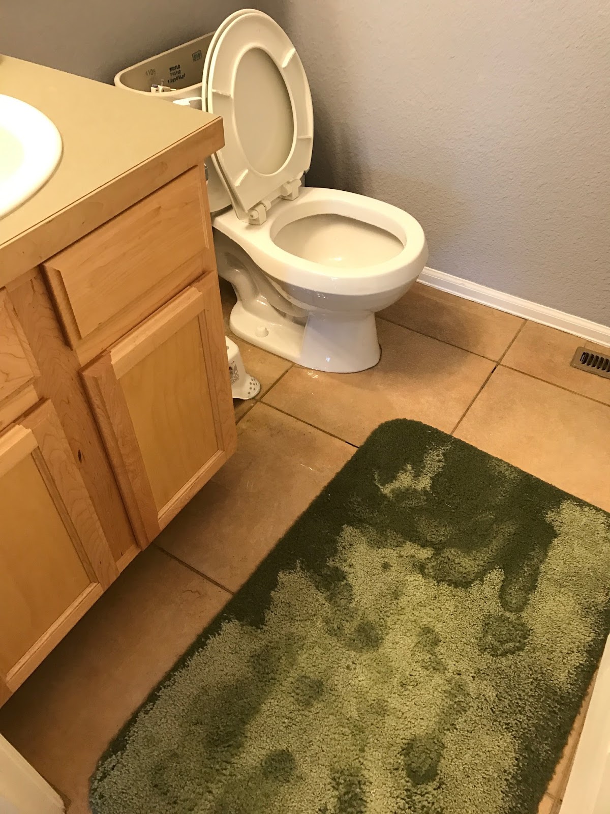 Water Damage Signs: Bathrooms