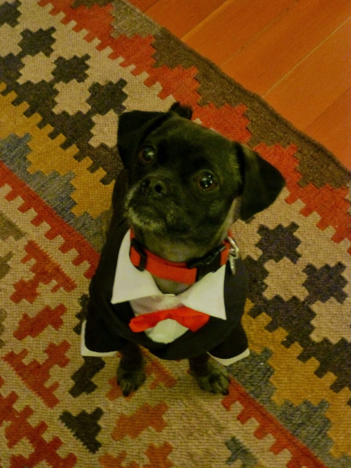 Nested Development How to throw a Clue themed party