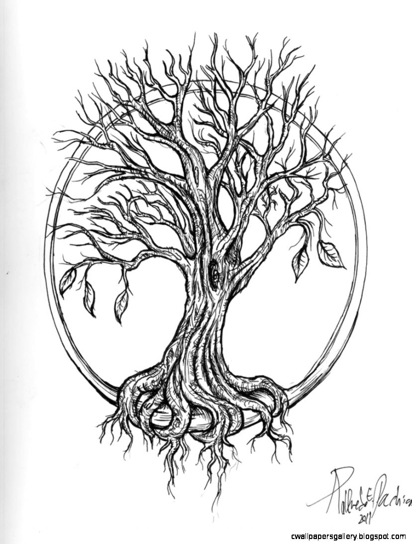 Tree Drawing Tattoo