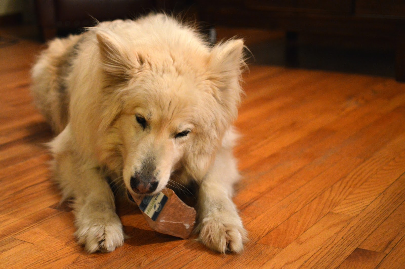 barkworthies root chew