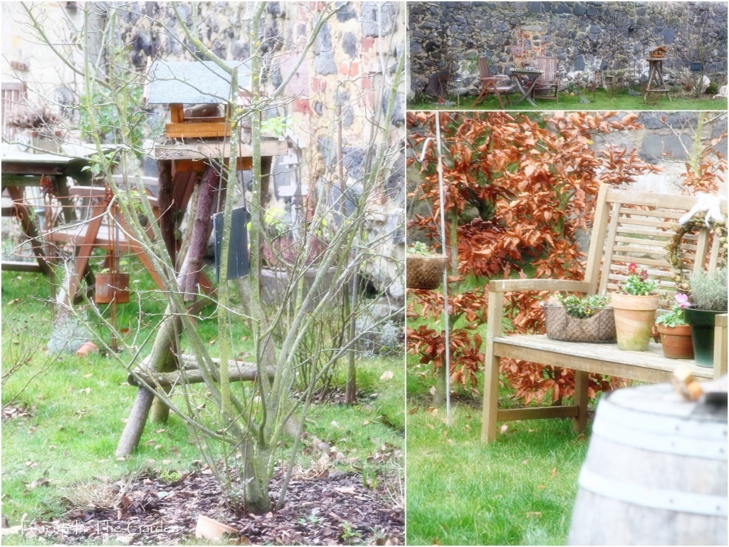 TeacupInTheGarden der garten im januar