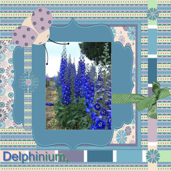 April 2016 – Delphinium