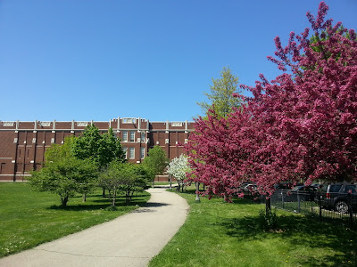 The Chicago Real Estate Local: Winnemac Park blooms AND and look at