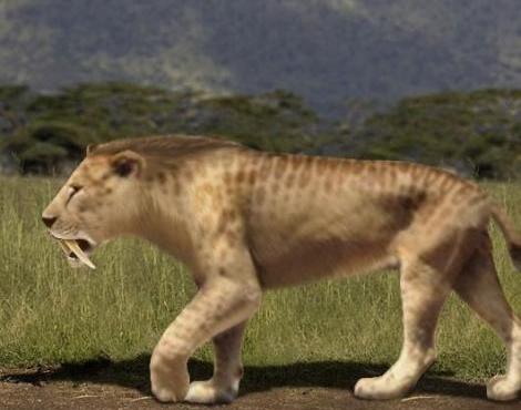 Animals Unique: Sabre-toothed Tiger Unique