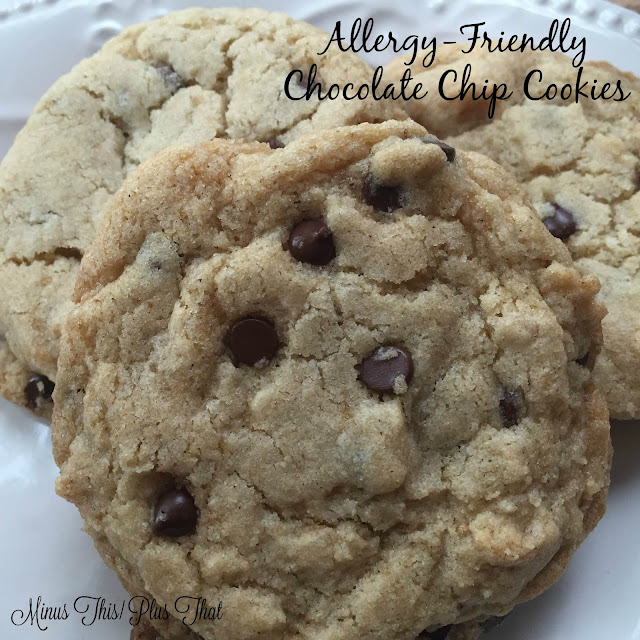 Minus This/ Plus That AllergyFriendly Chocolate Chip Cookies