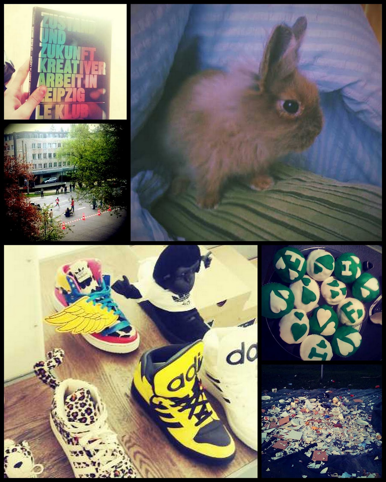 Capoeira Angola Leipzig E V Grupo De Capoeira Angola Irmaos