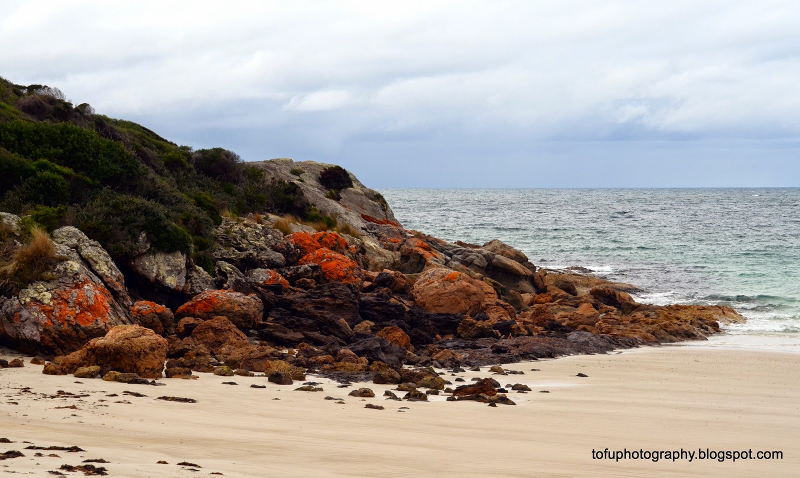 Tofu Photography Boat Harbour beach, Tasmania
