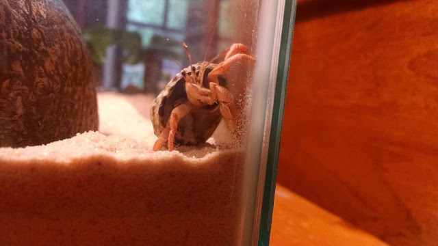 We hope you enjoyed your visit! Come back soon!