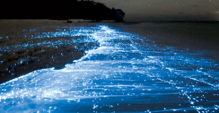 The Glowing Beach, Maldives
