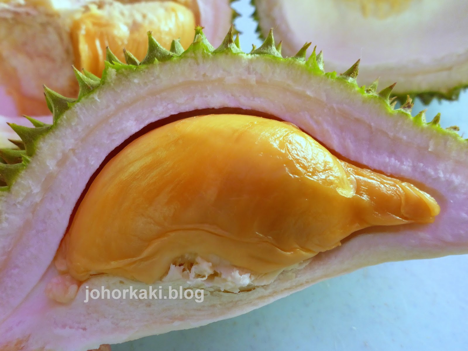41++ Durian hunting in johor bahru malaysia ideas