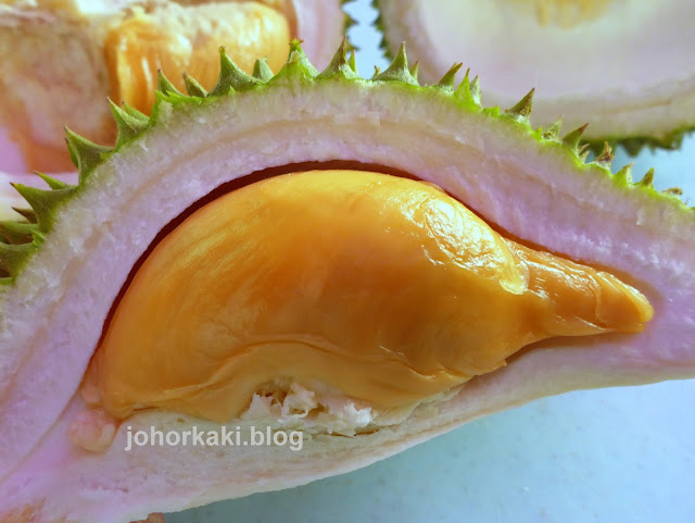 Durian-Stall-Johor-Bahru-新山住家卖榴莲 