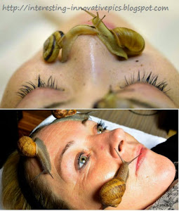 Ci: z.Labo snail slime skin care treatment in Beauty salon