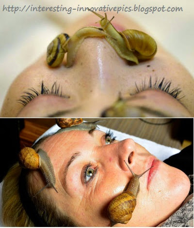 Interesting Science: Snail crawling on Face - Skin Care treatment 