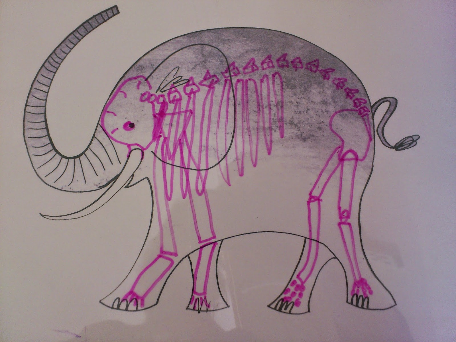 All Write How to give an elephant an Xray