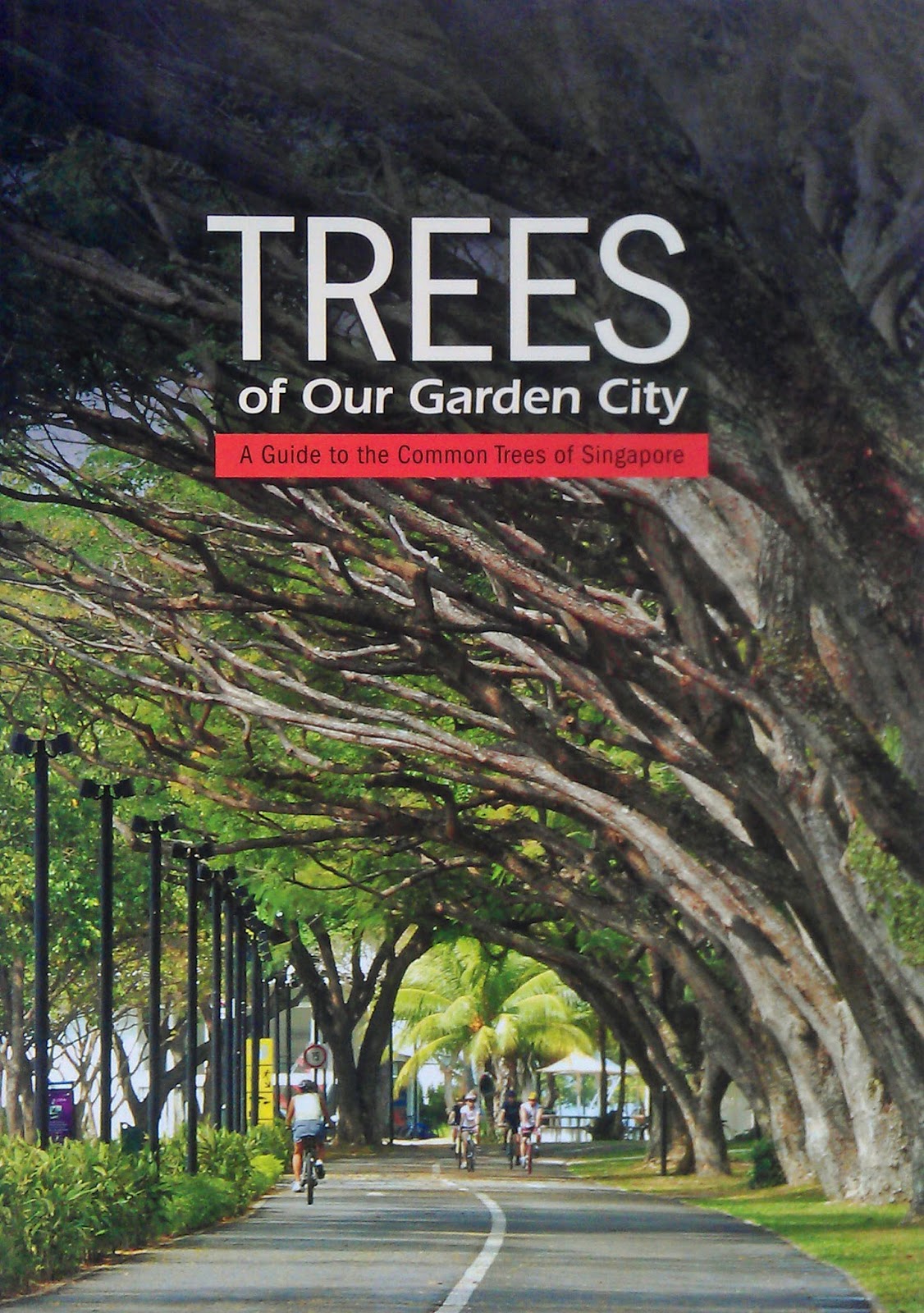 Openplants Trees of Our Garden City A Guide to the Common Trees of