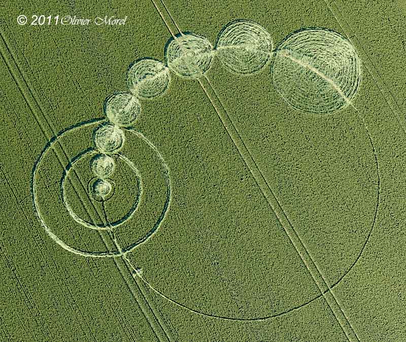 Круги на поле телеграмм. 2011 Круг на поле в Уилтшире. Круги на полях. Таинственные знаки на полях. Самые красивые круги на полях.