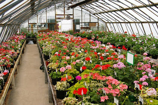 Plant Nursery Business