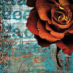 Kumpulan Gambar Tato Grafiti Bunga Mawar Keren Itulah Mungkin Bisa