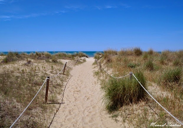 Vasto, Punta Penna. sentiero verso Punta Aderci Vasto, Punta Penna. sentiero verso Punta Aderci