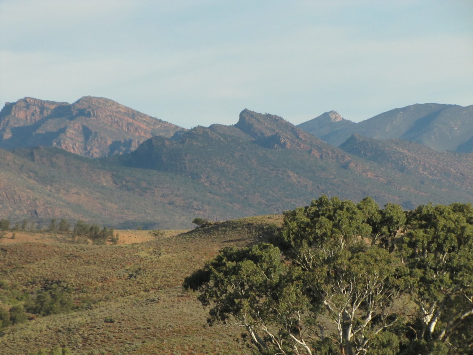 Beweller's Big Adventure: May 30th- June 4th, 2011- Flinders Ranges ...