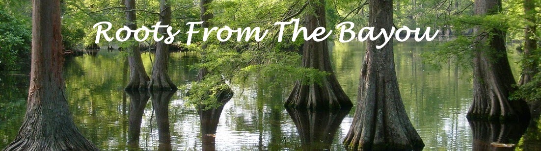 Roots From The Bayou