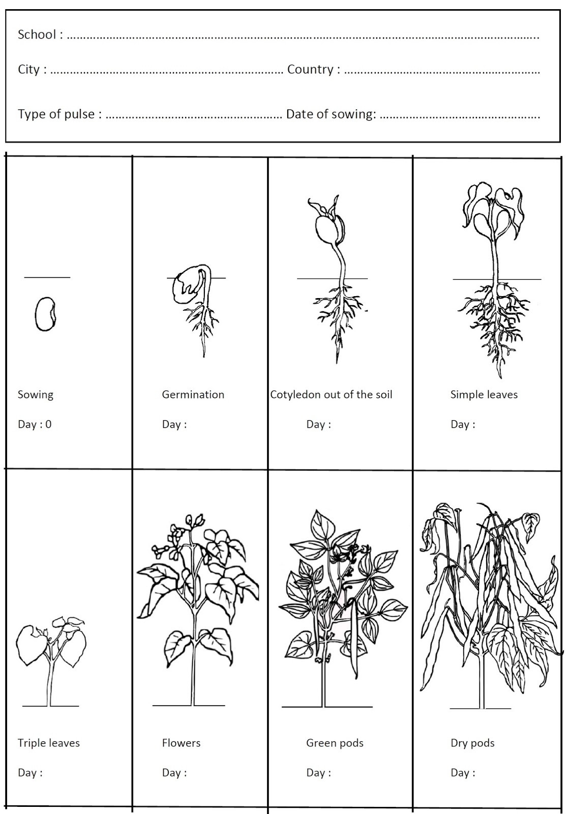 Bean's Diary By Robin Driscoll Rowan Atkinson, 47 OFF