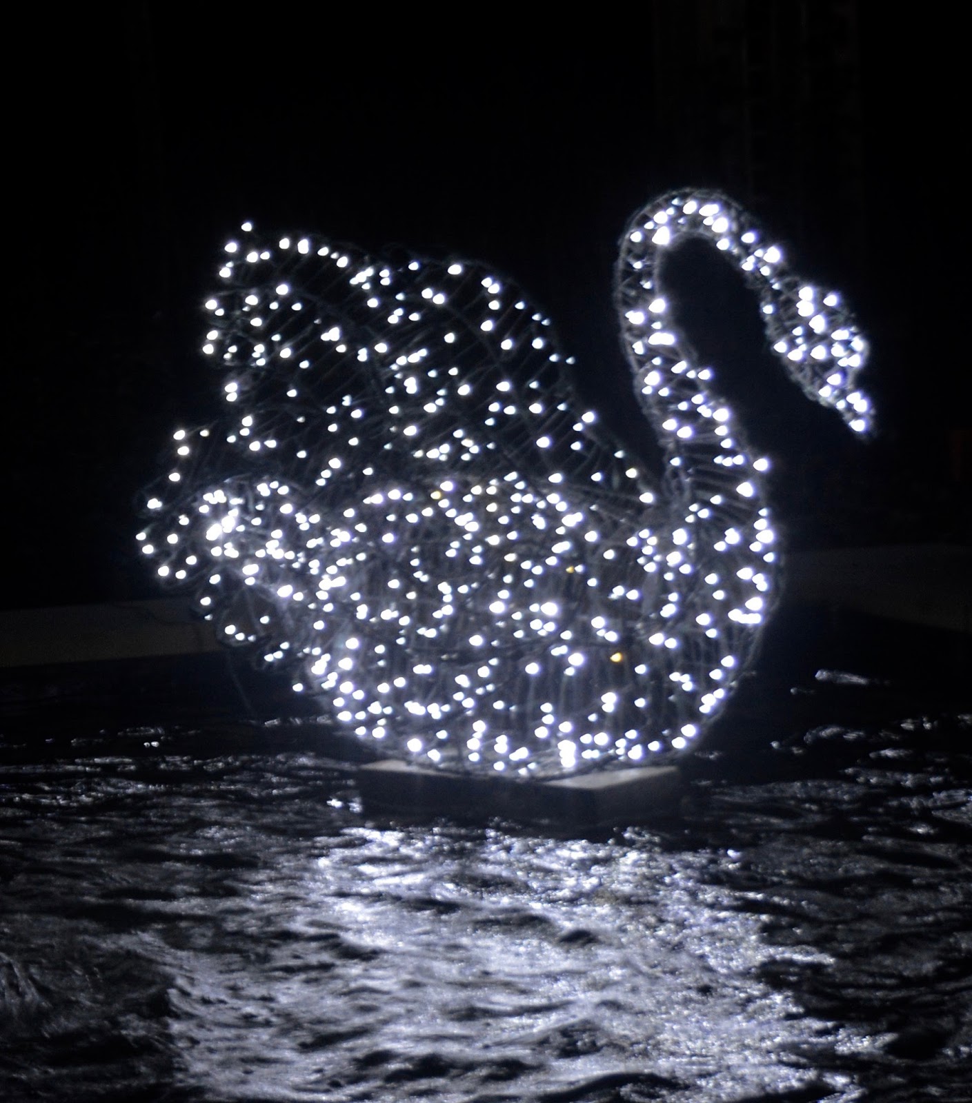 Winter Wonderland Christmas Light Show | A Wynyard Hall Garden Event - A Review - illuminated swan